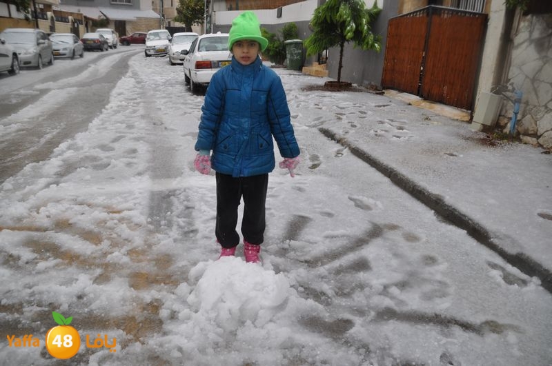 iceman lud 1213 (34).JPG